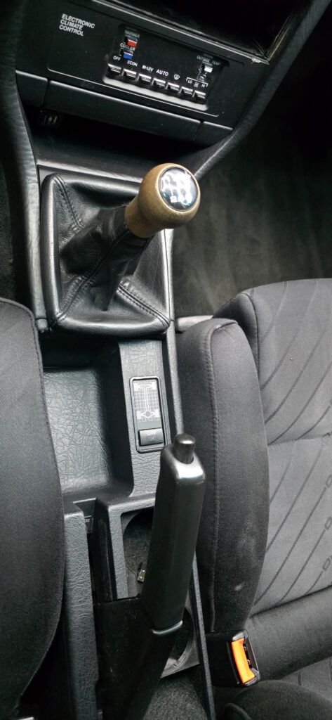 Убираем плесень в салоне автомобиля