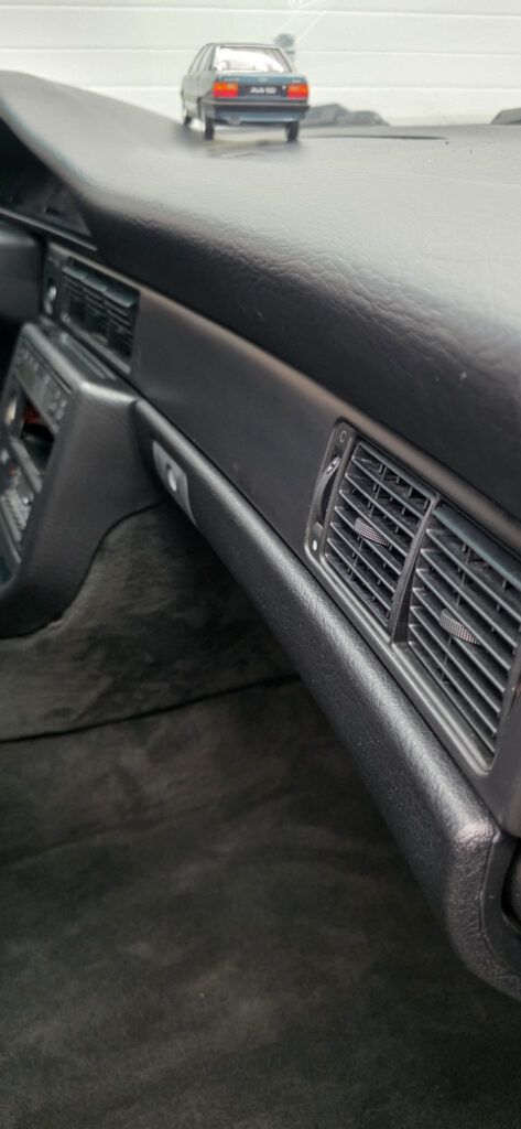 Убираем плесень в салоне автомобиля