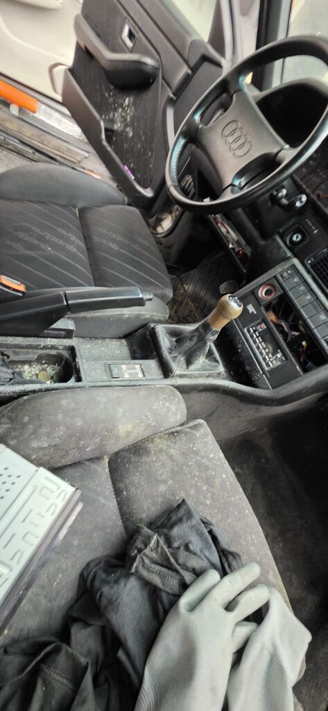 Убираем плесень в салоне автомобиля