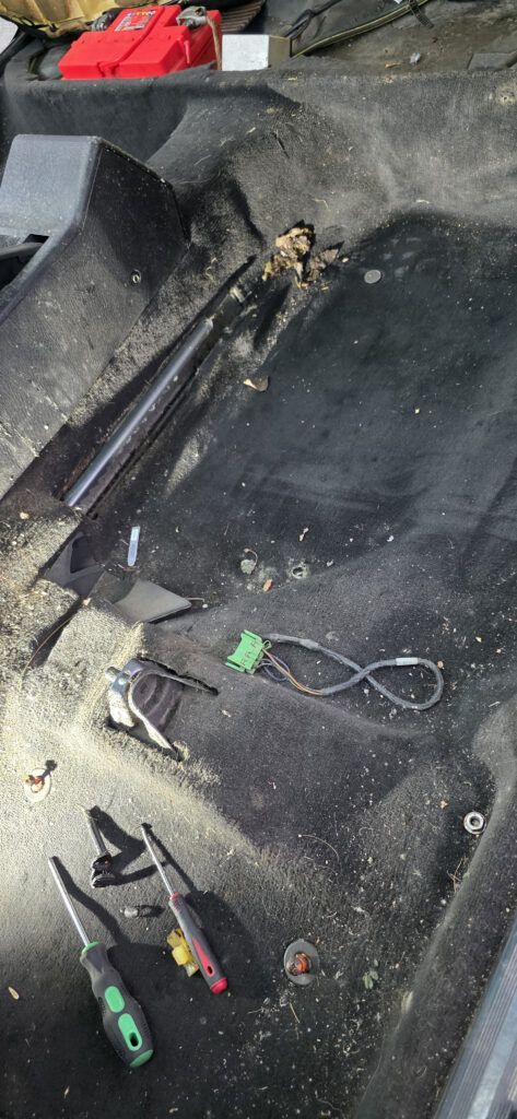 Убираем плесень в салоне автомобиля