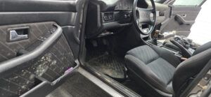 Убираем плесень в салоне автомобиля