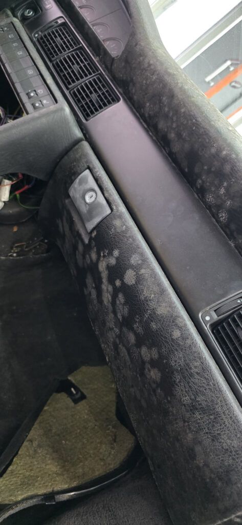 Убираем плесень в салоне автомобиля